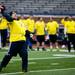 Maize Team quarter Dave Glinka throws a deep ball during the alumni spring flag football game on Saturday, April 13. AnnArbor.com I Daniel Brenner